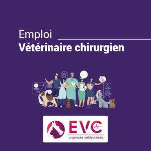 Chirurgien vétérinaire