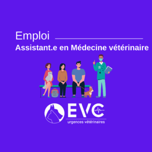 Assistant en médecine vétérinaire