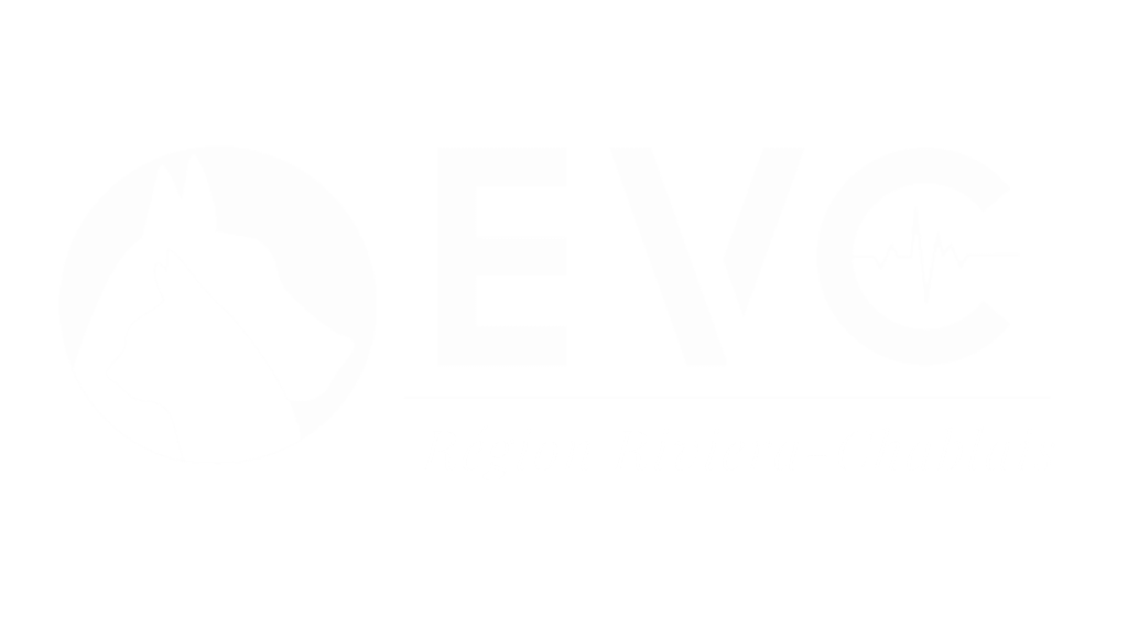 EVC Aigle centre d'urgence vétérinaire