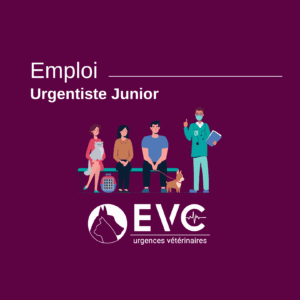 offre emploi urgentiste junior