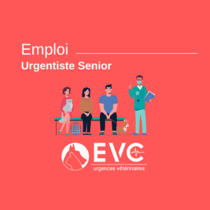 offre emploi urgentiste senior