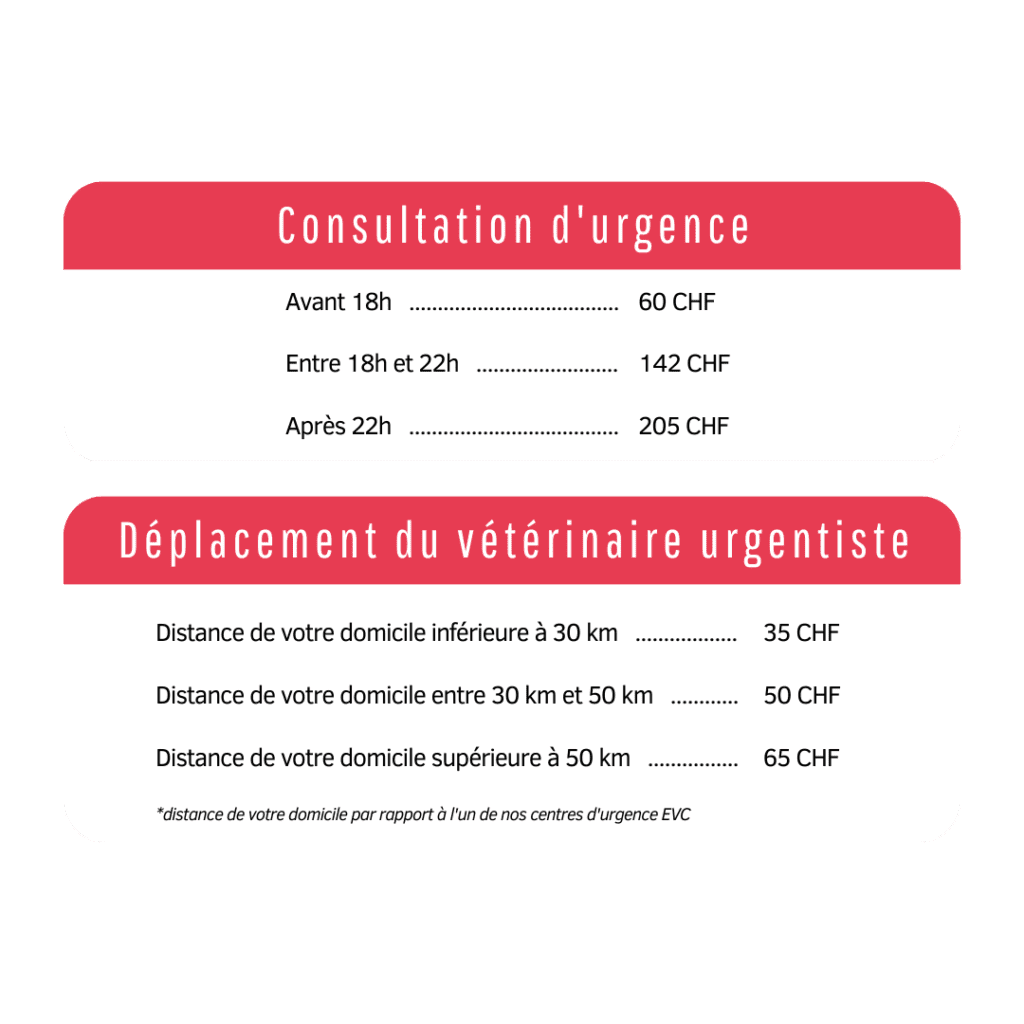 Tarifs soins vétérinaires à domicile