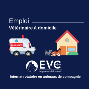 Emploi vétérinaire à domicile en Suisse