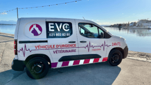 Ambulance vétérinaire EVC et vétérinaire à domicile