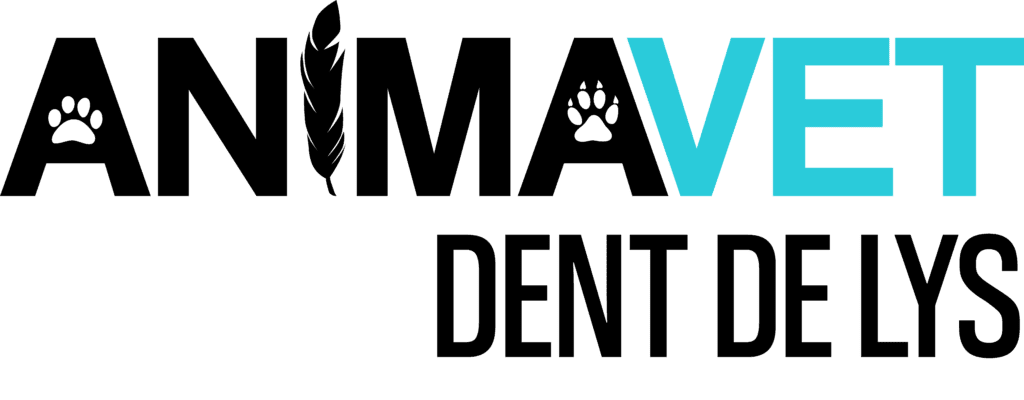 Animavet Dent de Lys