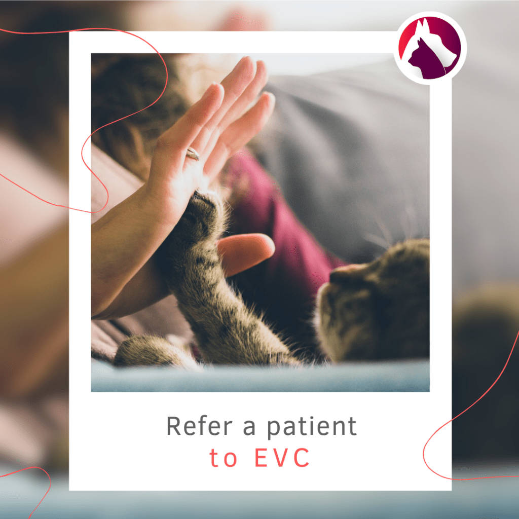 Refer a patient to EVC