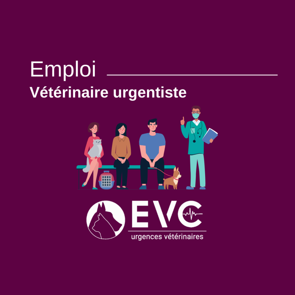 Emploi vétérinaire urgentiste