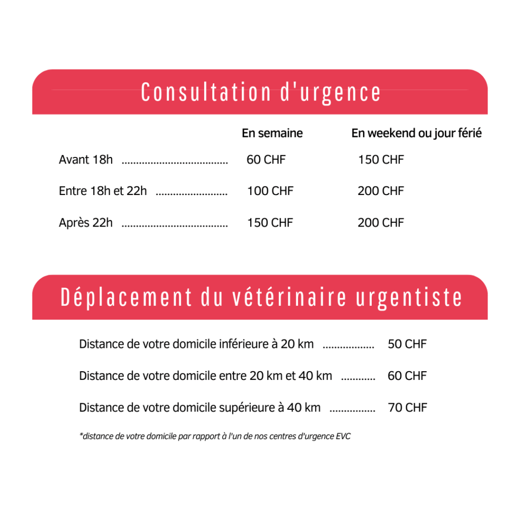 Tarif vétérinaire à domicile