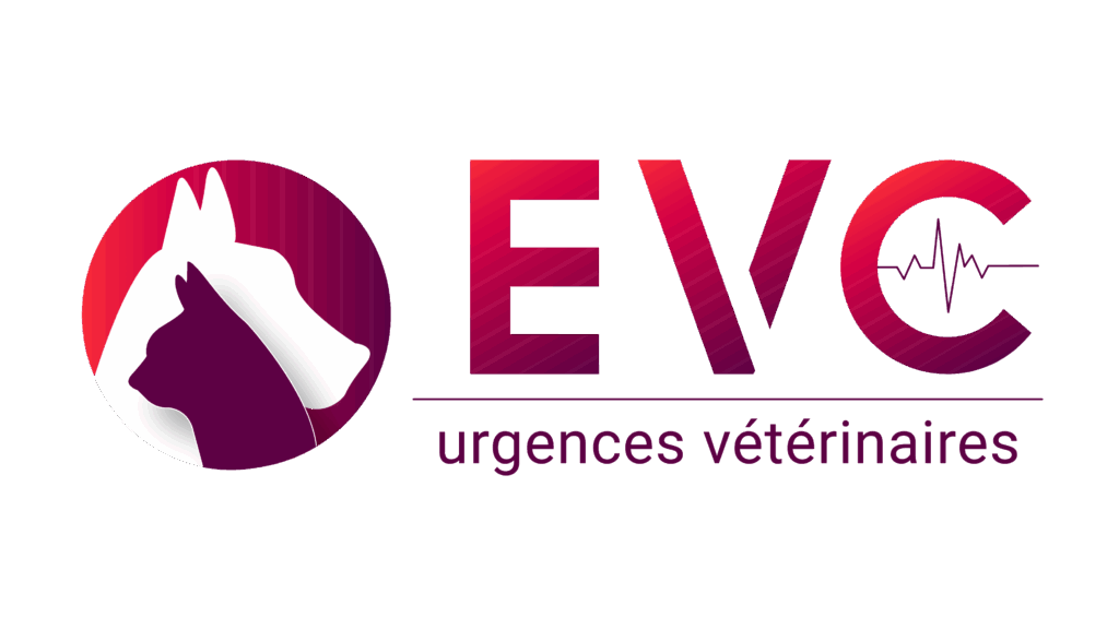Urgence vétérinaire EVC