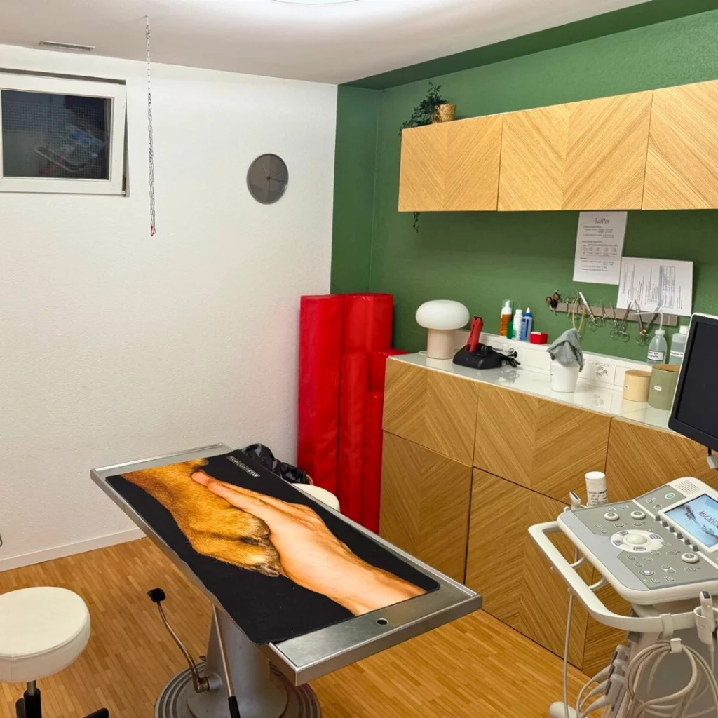 Salle echographie urgence vétérinaire