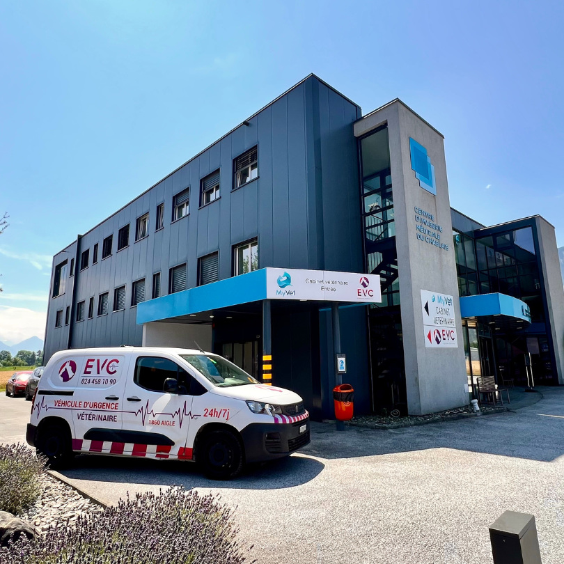 Vétérinaire de garde